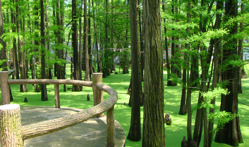 DSC09827_.jpg