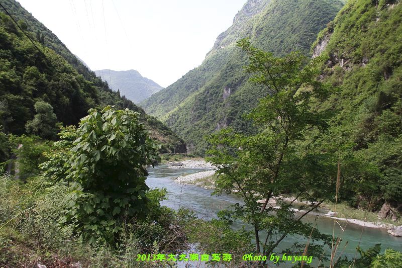 IMG_4478.JPG