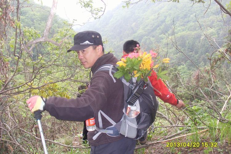 SL383230.JPG