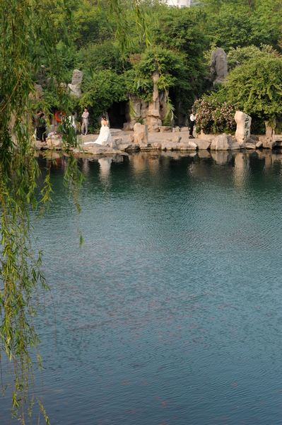 DSC_3392.jpg