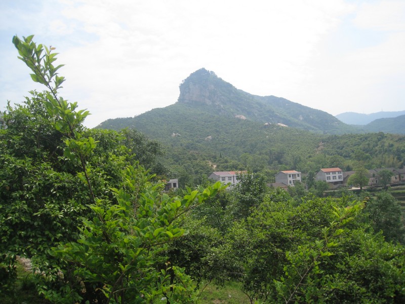 conew_img_8424.jpg