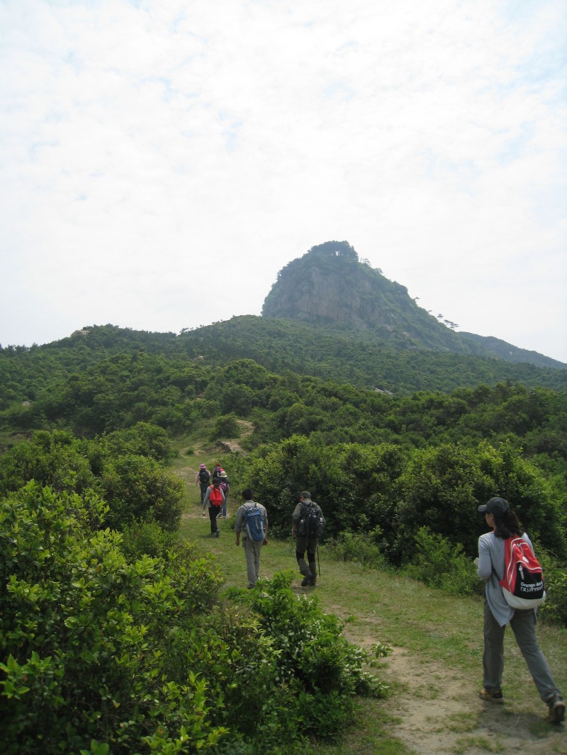 conew_img_8442.jpg