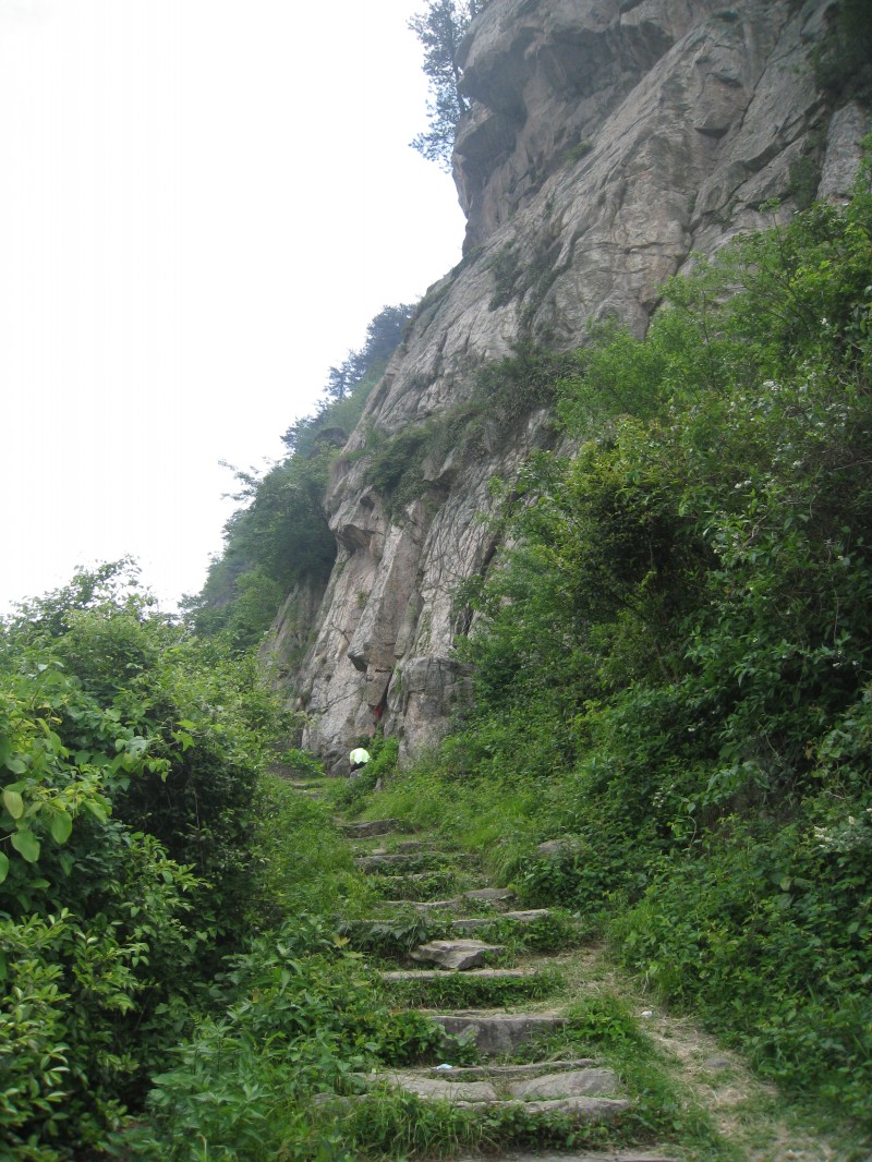conew_img_8462.jpg
