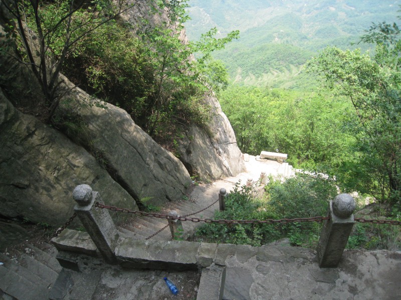 conew_img_8497.jpg
