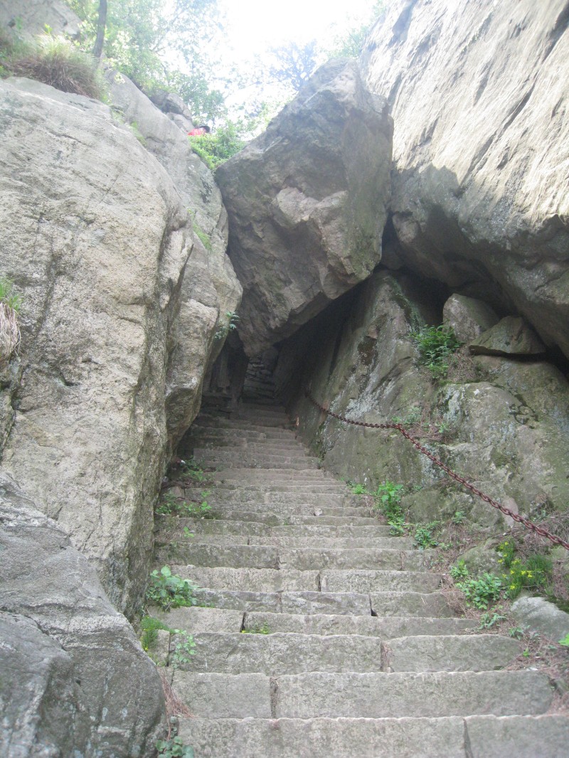 conew_img_8498.jpg