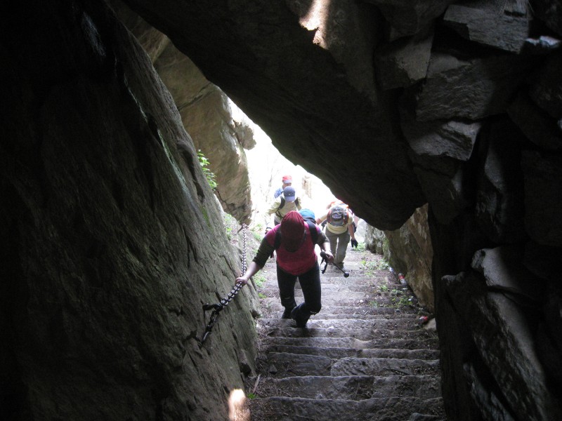 conew_img_8499.jpg