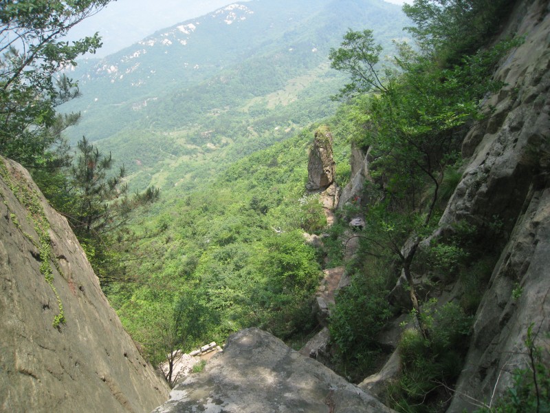 conew_img_8500.jpg