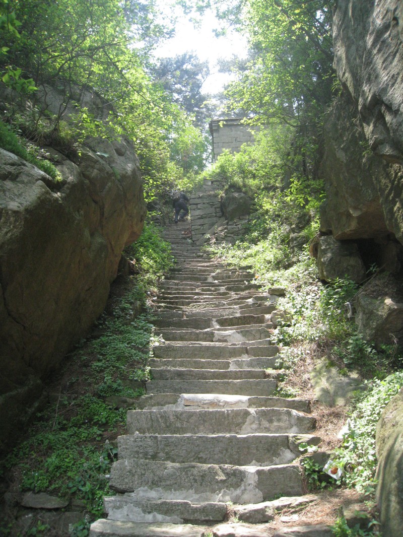 conew_img_8507.jpg