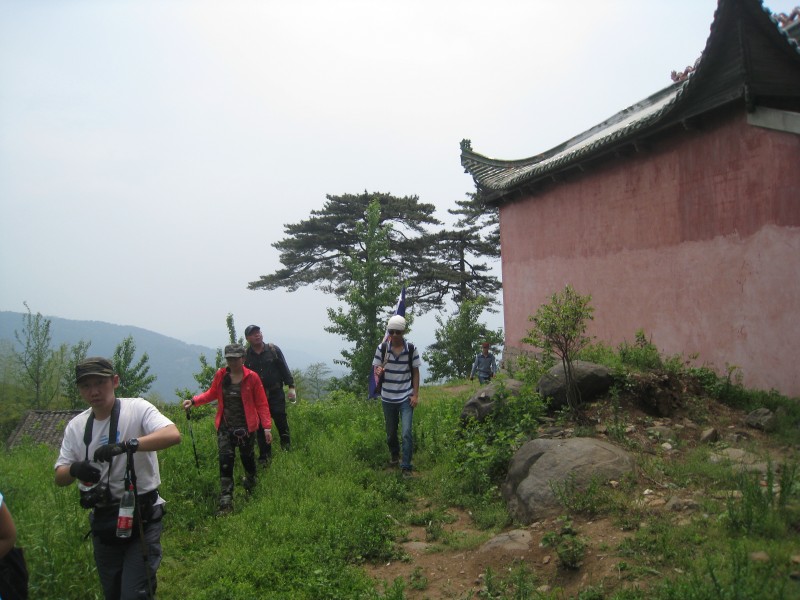 conew_img_8537.jpg