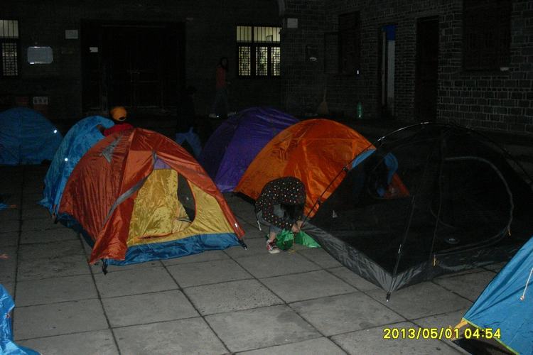 SL383338.JPG