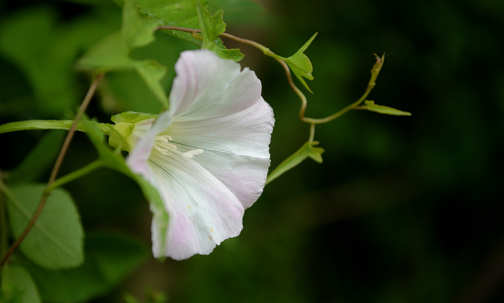 DSC_0104.jpg