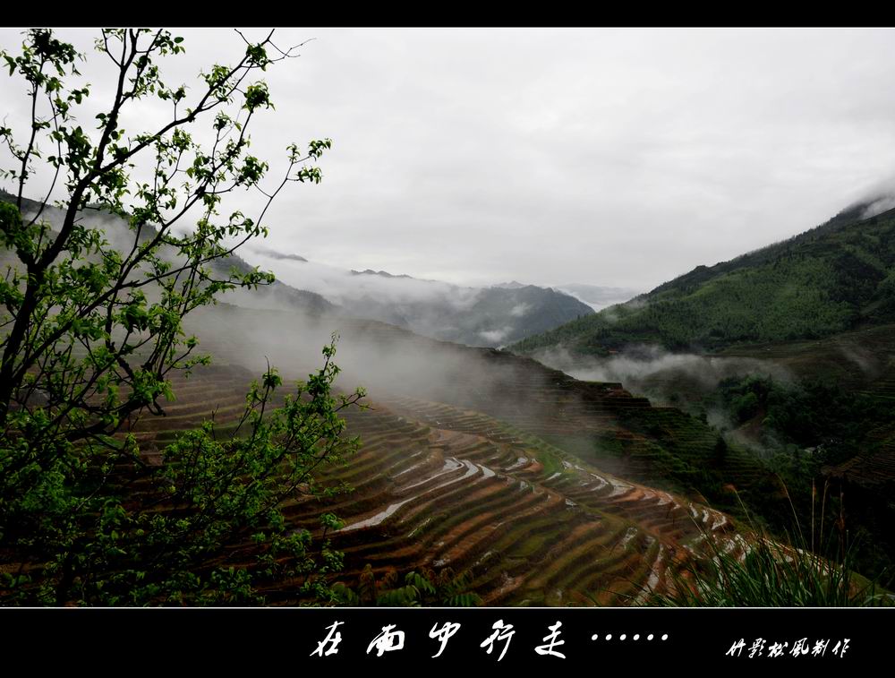 С v016.jpg