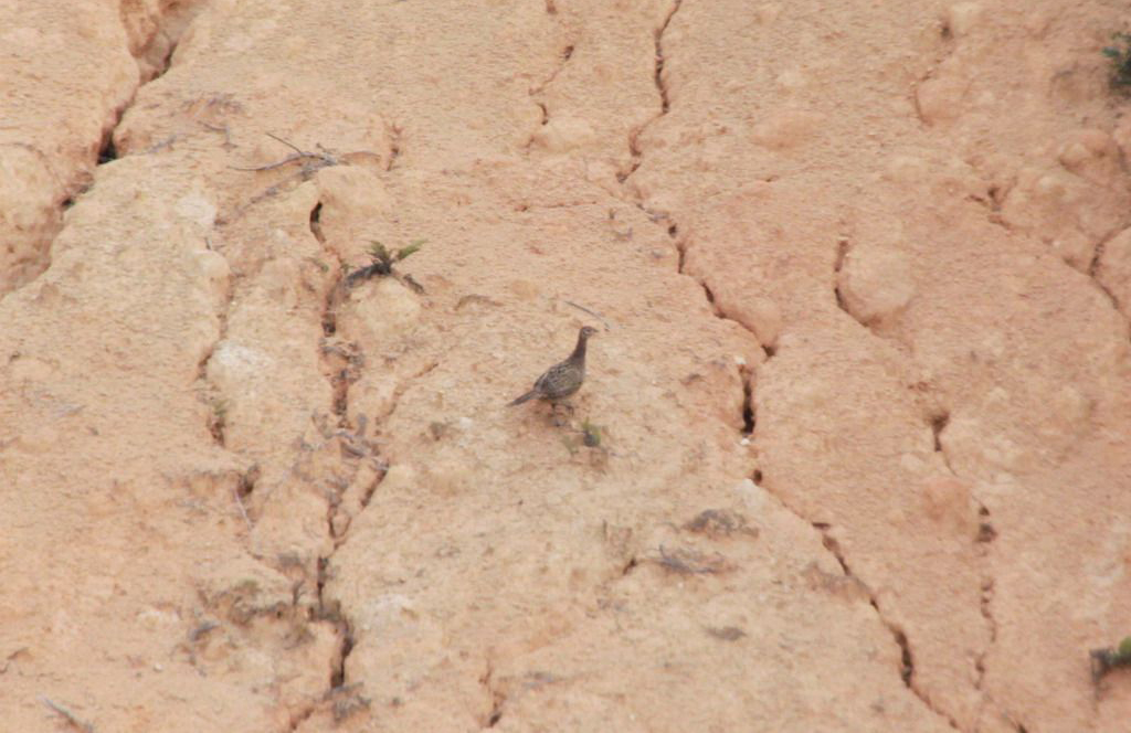 20133270433913163.jpg