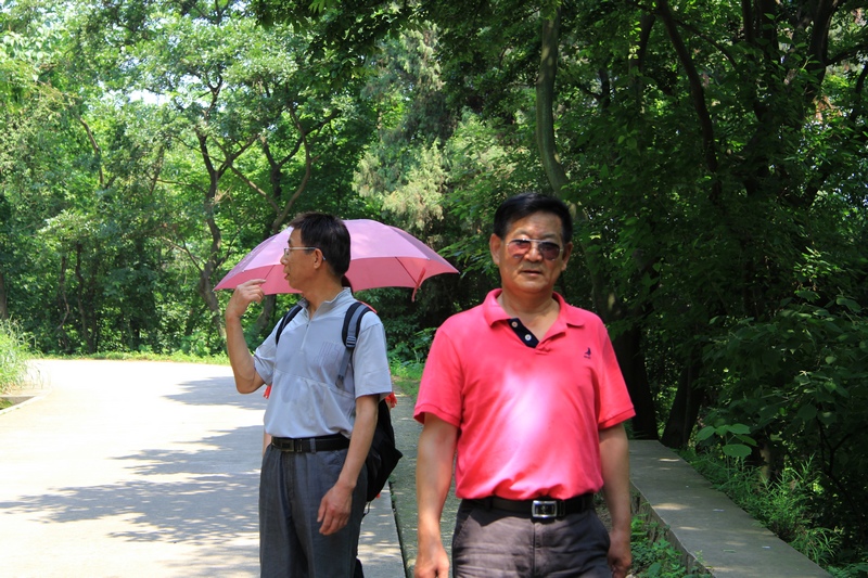 IMG_8345.jpg