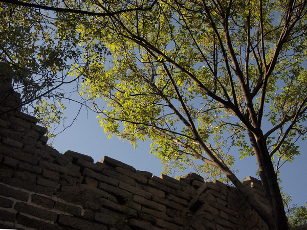 P5118414A.jpg
