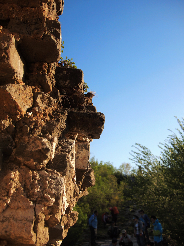 P5118497A.jpg