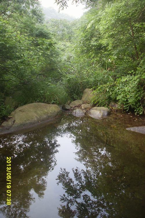 SL383419.JPG