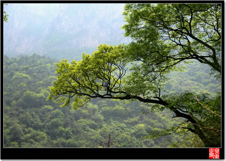 DSC_1248_1.JPG