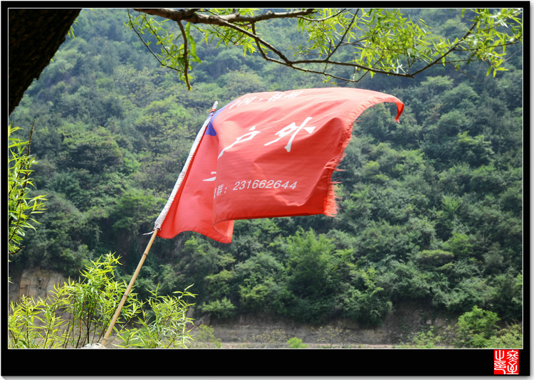 DSC_1265_1.JPG