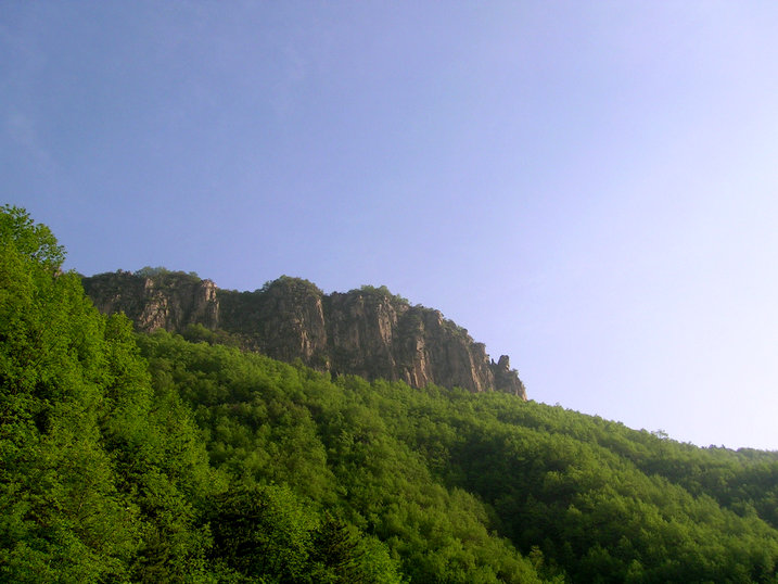 79.jpg