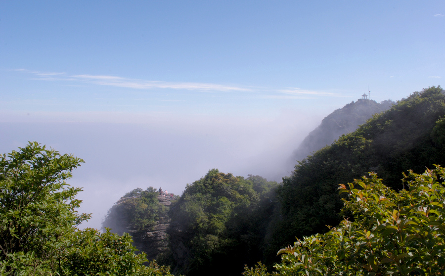 DSC_0306.jpg
