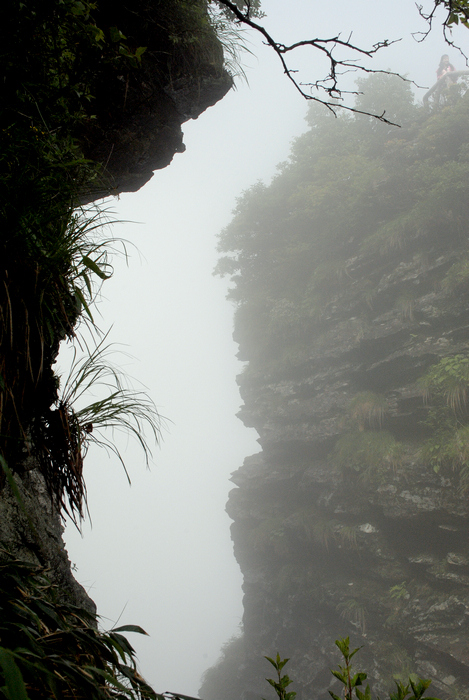 DSC_0388.jpg