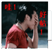 1001.gif