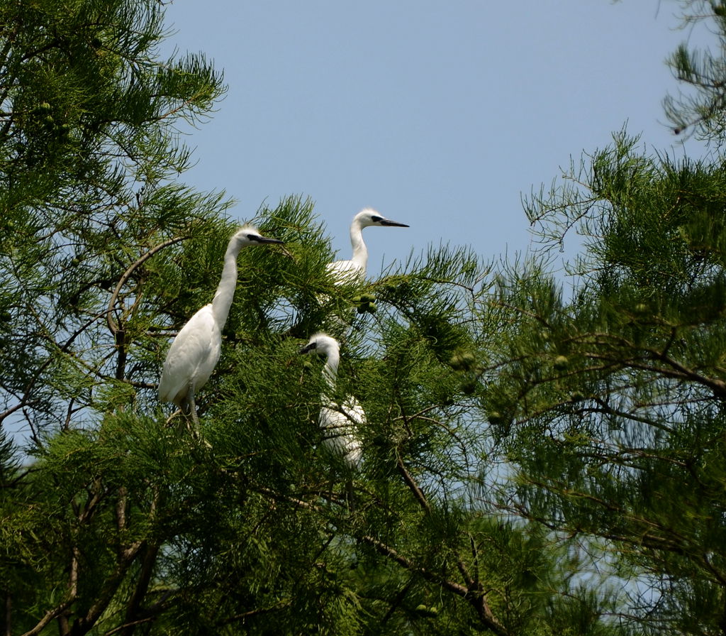 DSC_7838_.jpg