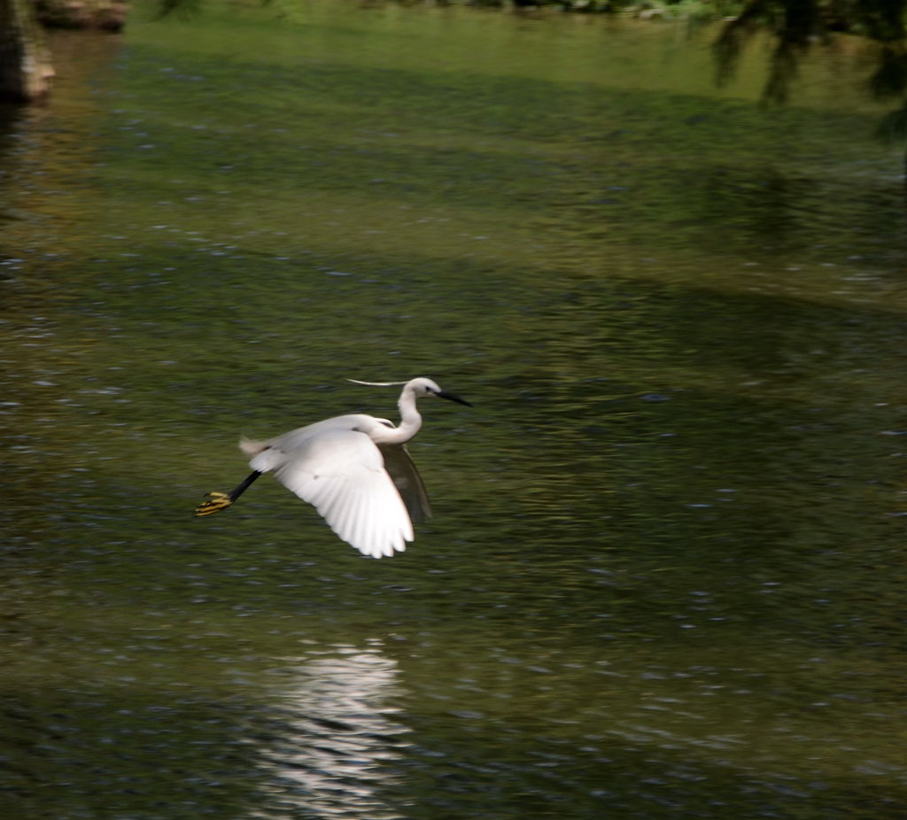 DSC_7995_.jpg