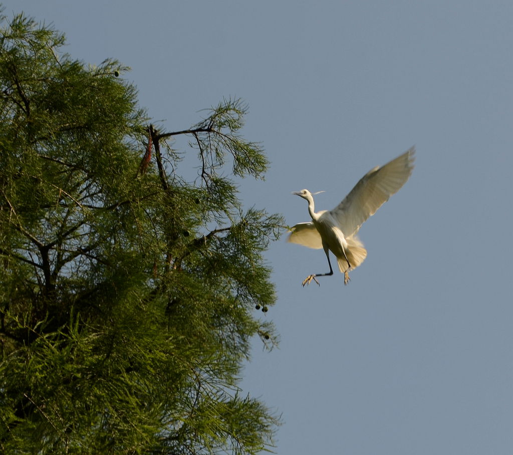 DSC_8069_.jpg