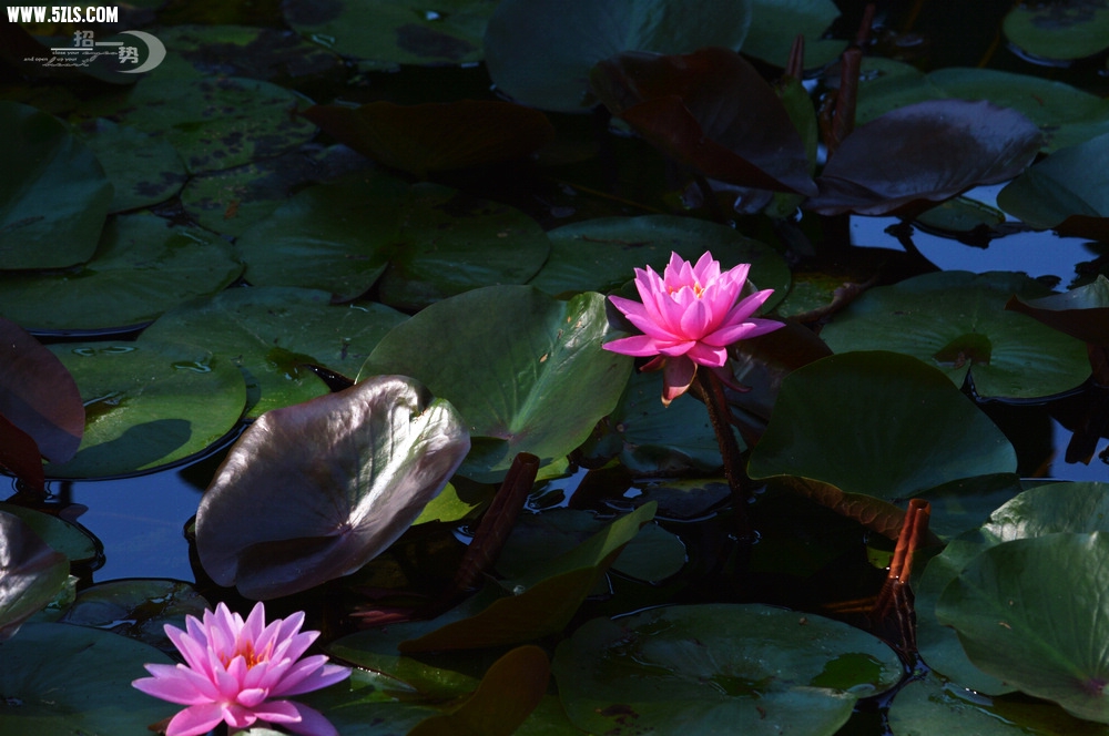 DSC_1058.jpg