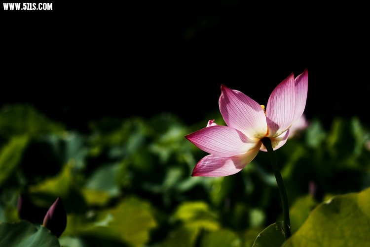 _MG_4314.jpg