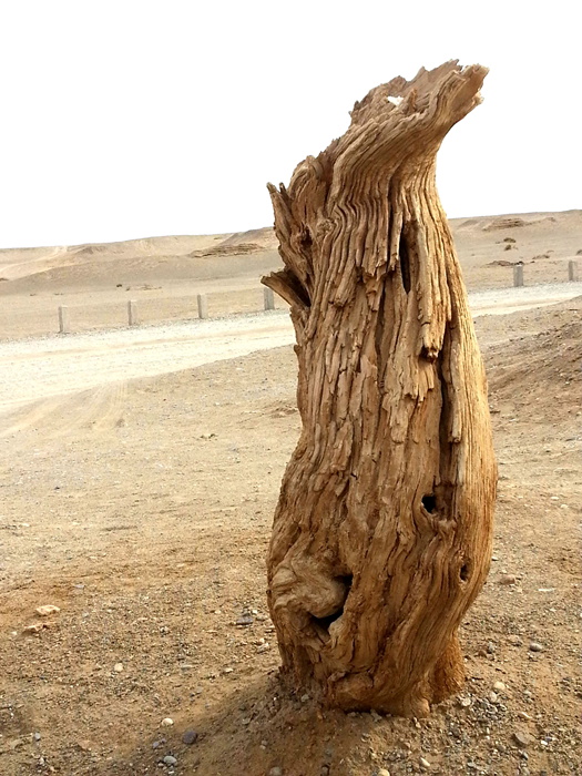 20130525_093701_.jpg