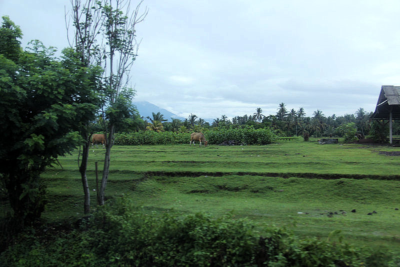 IMG_4676.jpg