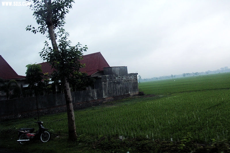 IMG_4685.jpg