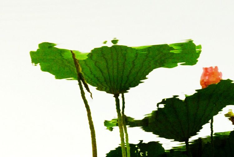 123 305_副本.jpg