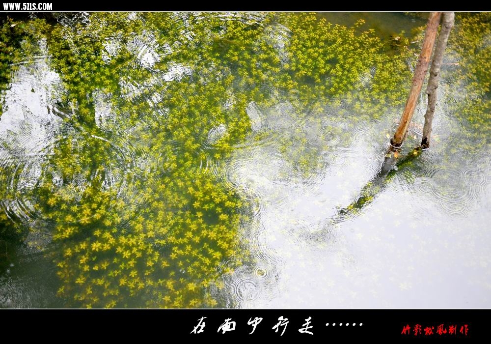 С ɽ11.jpg