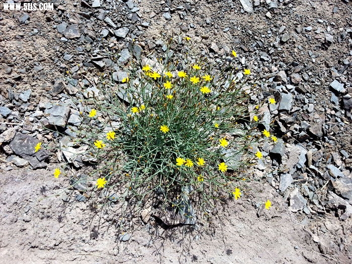 20130526_104141_.jpg