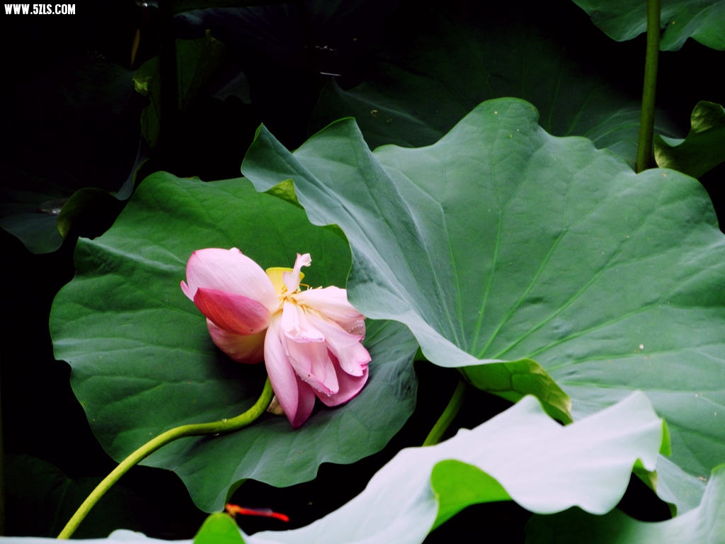 DSCN6058.jpg