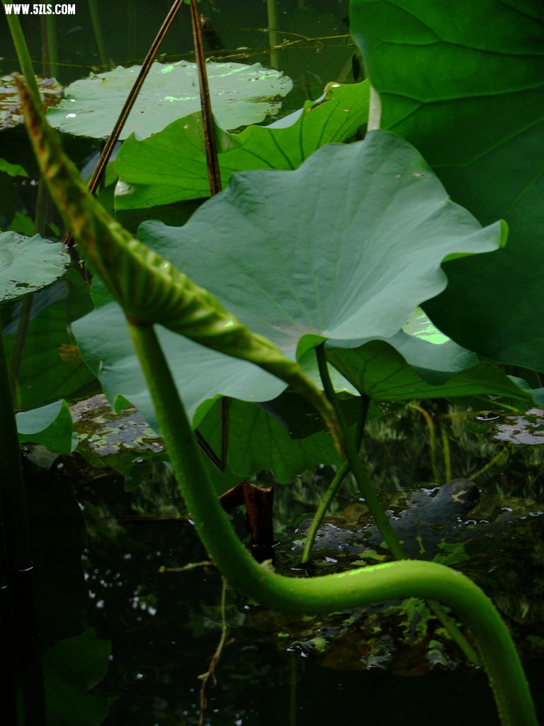 DSCN6063.jpg