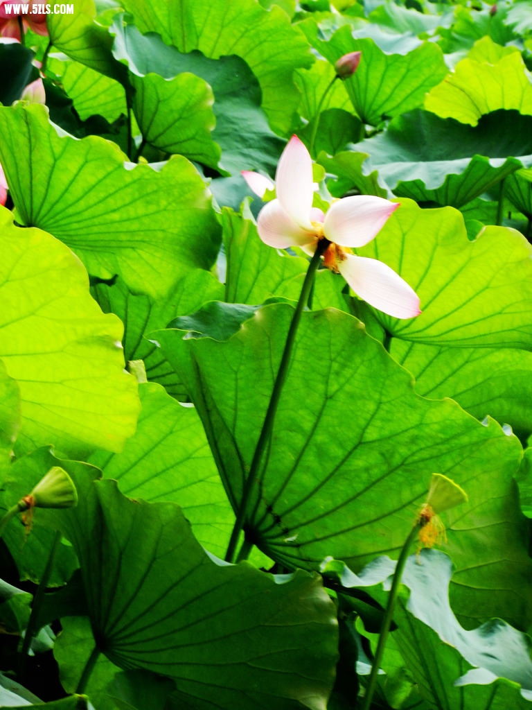DSCN6067.jpg