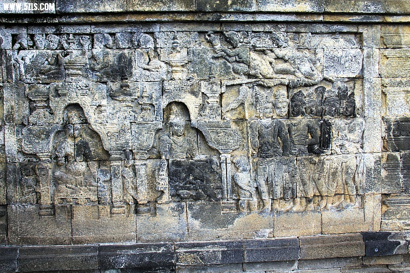 IMG_4893.jpg