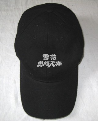074604y7b1jn7k1l7825ap.jpg