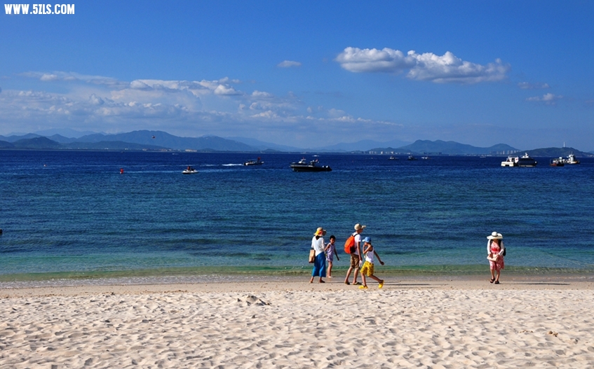 DSC_0868__.jpg
