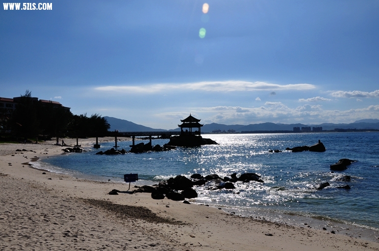 DSC_0878_.jpg