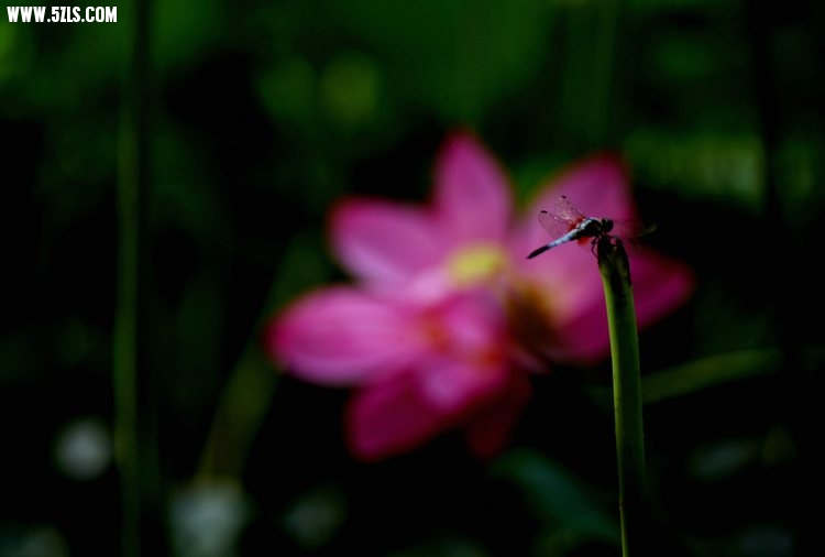 IMG_3922.jpg