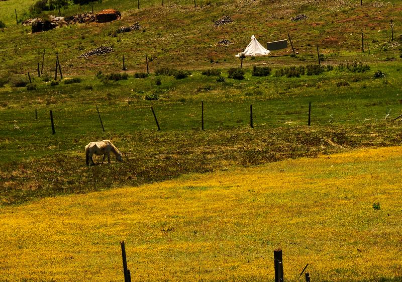 DSC_2973.jpg