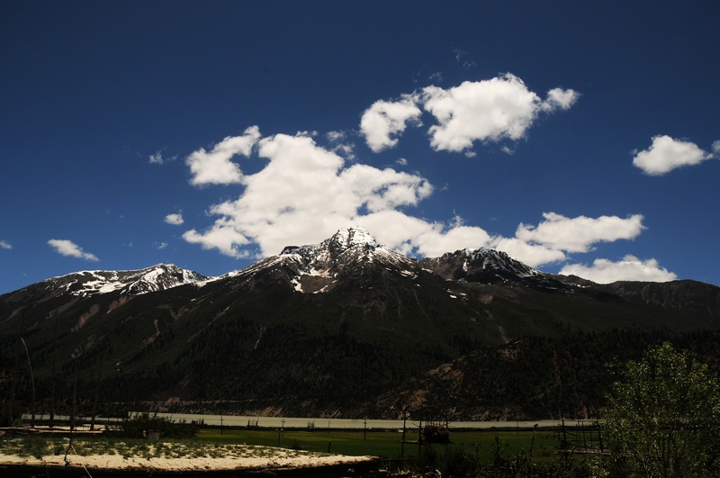 DSC_3591.jpg