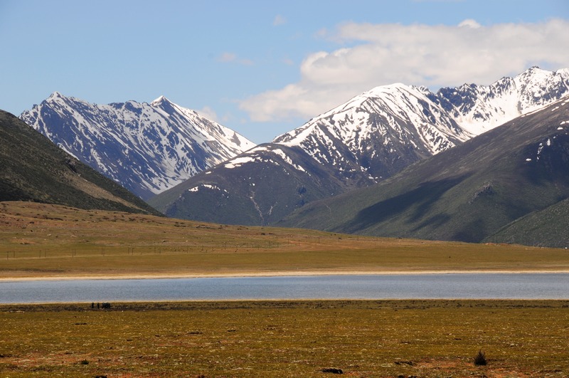 DSC_3519.jpg