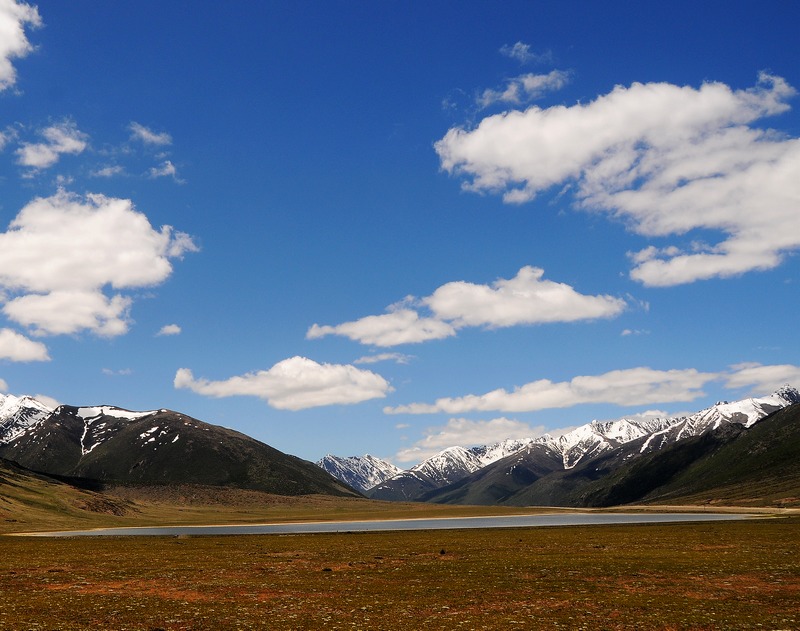 DSC_3530.jpg